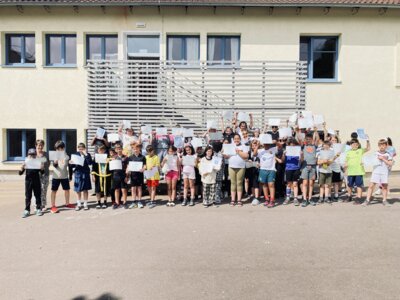 Foto des Albums: Delf