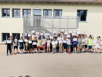 Foto des Albums: Delf