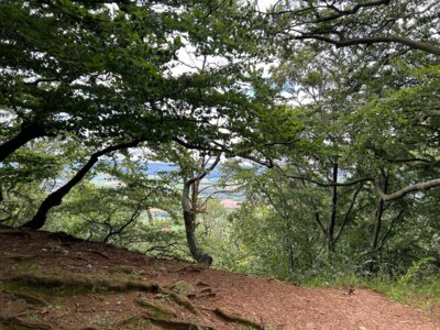 Foto des Albums: Paschenburg, Höhlen und Springsteine