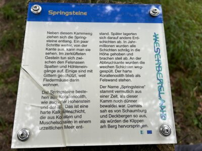 Foto des Albums: Paschenburg, Höhlen und Springsteine