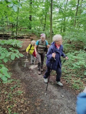 Foto des Albums: Paschenburg, Höhlen und Springsteine