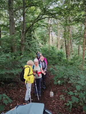 Foto des Albums: Paschenburg, Höhlen und Springsteine