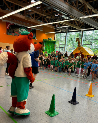 Bild der Galerie