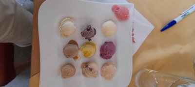 Foto des Albums: Eisbauernhof