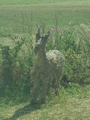 Foto des Albums: Strohfigurenfahrt