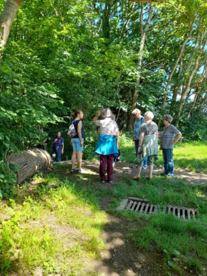 Foto des Albums: Landfrauen unterwegs