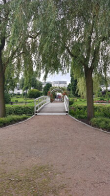 Foto des Albums: Sommerfahrt 2021