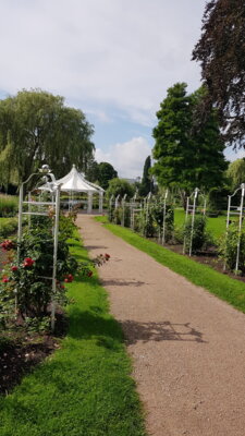 Foto des Albums: Sommerfahrt 2021