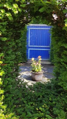 Foto des Albums: Sommerfahrt 2021