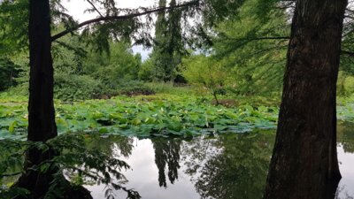 Foto des Albums: Sommerfahrt 2021
