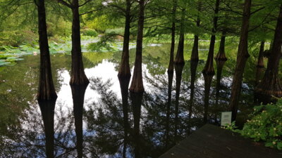 Foto des Albums: Sommerfahrt 2021