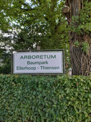 Foto des Albums: Sommerfahrt 2021