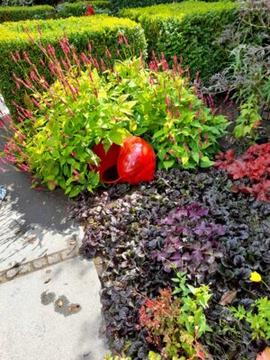 Foto des Albums: Sommerfahrt 2021