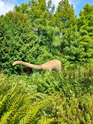 Foto des Albums: Sommerfahrt 2021