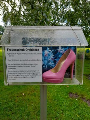 Foto des Albums: Sommerfahrt 2021