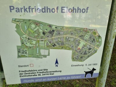 Foto des Albums: Friedhof