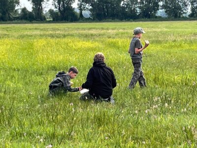 Foto des Albums: Freundschaftsanegln Rohrdommeln Kinder/Jugend