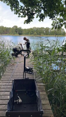 Foto des Albums: LAVB Ferien-Camp