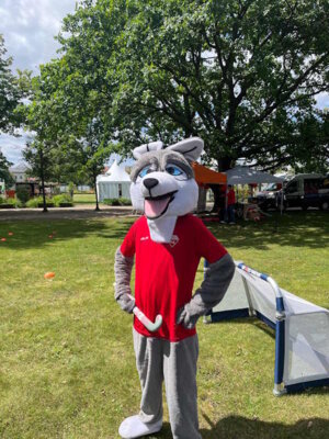 Foto des Albums: Sportmeile Stadtwerkefest (13.07.2024)