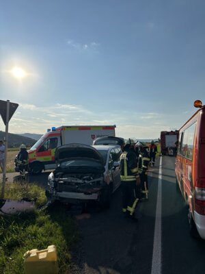 IMG 2370  (Bild vergr&ouml;&szlig;ern)