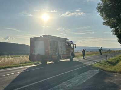 IMG 2380  (Bild vergr&ouml;&szlig;ern)