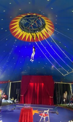 Foto des Albums: Zirkus 2024