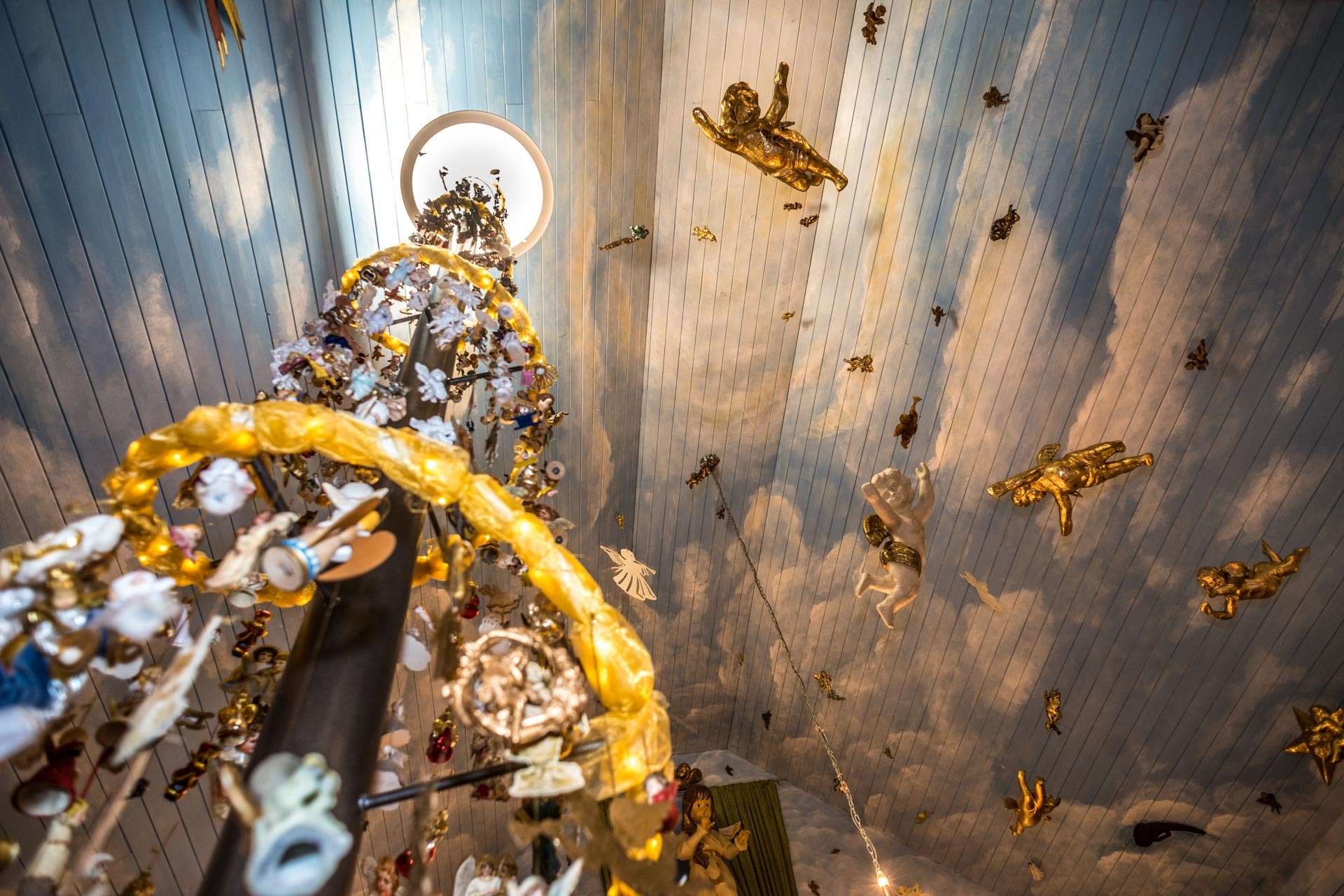 Bild der Galerie