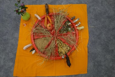 Zum Thema Bauernhof besch&auml;ftigte sich eine Gruppe mit der Nahrung der Tiere.  (Bild vergr&ouml;&szlig;ern)