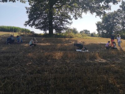 Fotoalbum Mit der Försterin im Schulwald