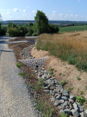 IMG 20240729 101643  (Bild vergr&ouml;&szlig;ern)