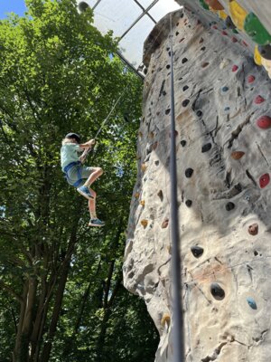IMG 0923 