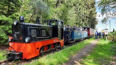 Foto des Albums: De Bimm August