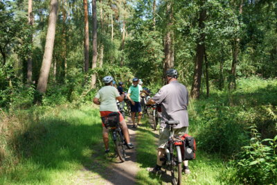 Wald durch den Galgenberg  (Bild vergr&ouml;&szlig;ern)