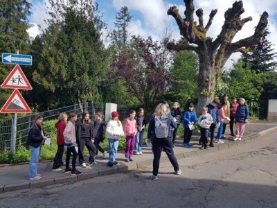 Foto des Albums: Naturparkmodul 