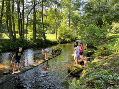 Foto des Albums: Naturparkmodul 