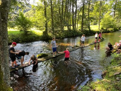 Foto des Albums: Naturparkmodul 