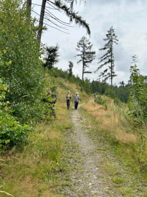 Es geht ab w&auml;rts zum Stausee  (Bild vergr&ouml;&szlig;ern)