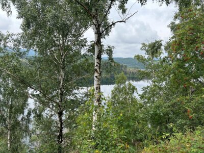 Der erste Blick auf die Granetalsperre  (Bild vergr&ouml;&szlig;ern)