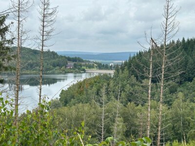 Granetalsperre  (Bild vergr&ouml;&szlig;ern)