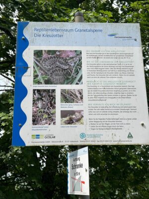 Achtung Schlangen!  (Bild vergr&ouml;&szlig;ern)