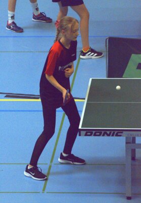 Foto des Albums: Tischtennis: Turnier in Sandkrug