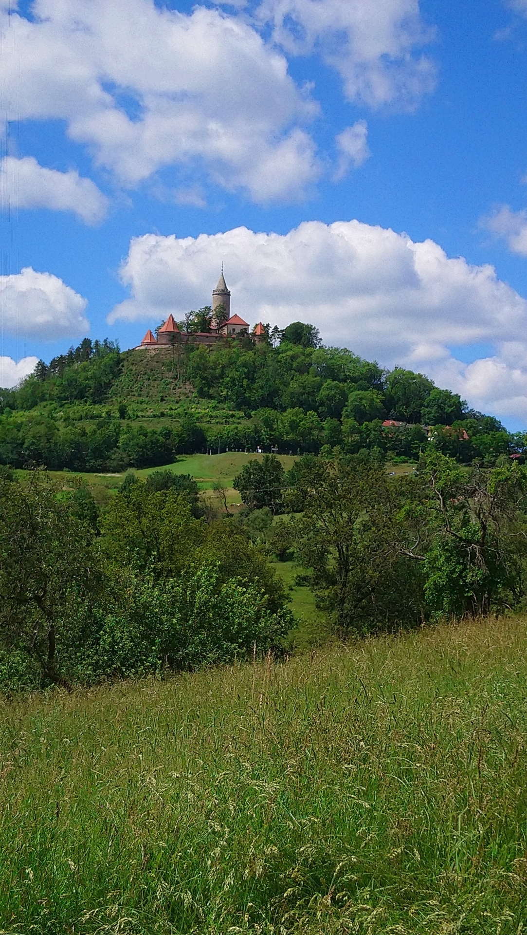 Bild: Leuchtenburg
