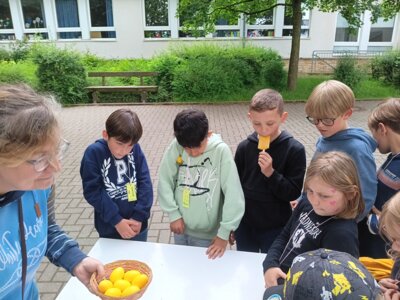 Foto des Albums: Sommerfest Ganztag 2024