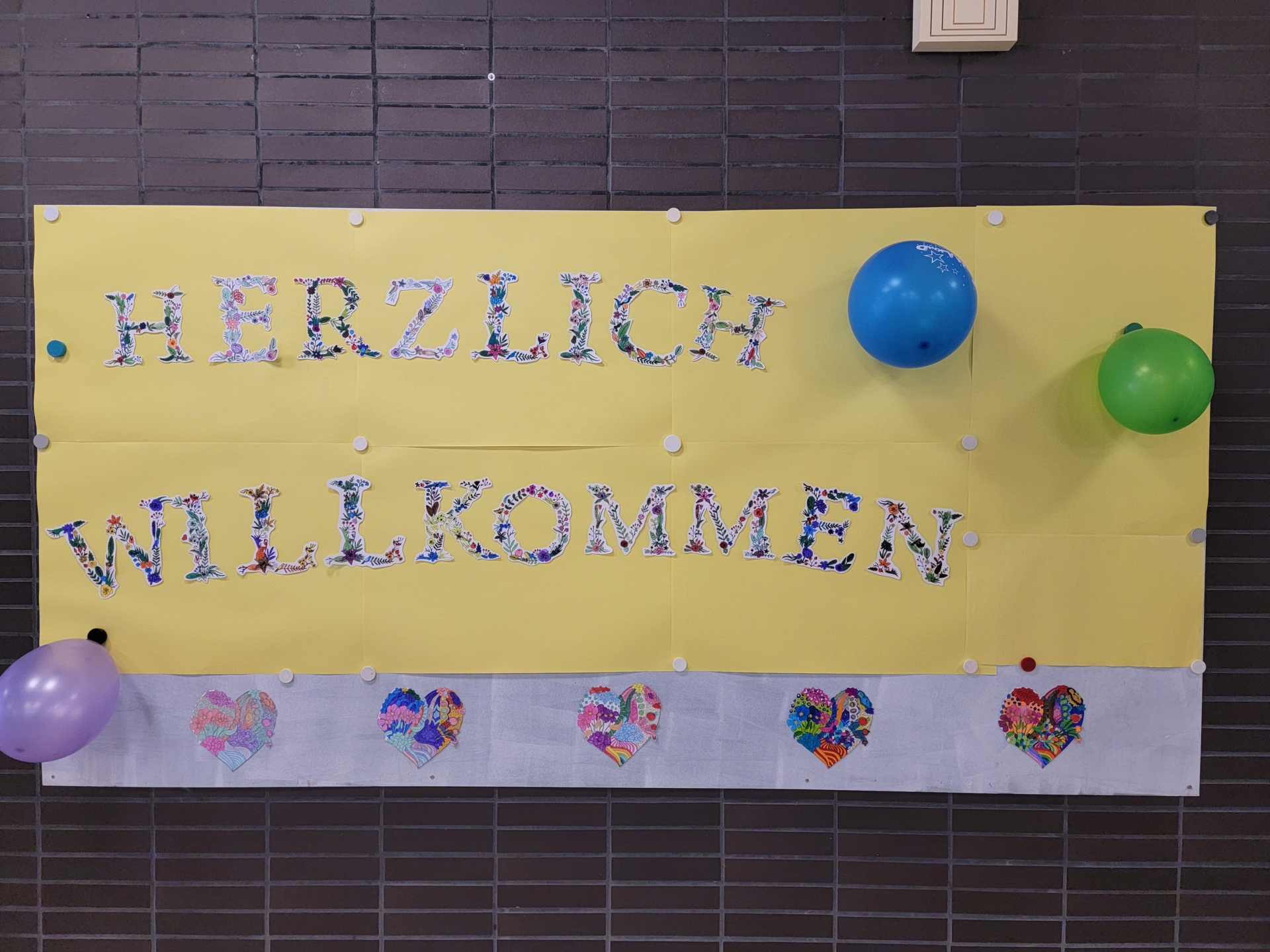 Bild der Galerie