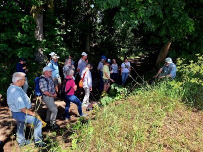 Foto des Albums: Anthropozän: Exkursion von Lauf nach Röthenbach