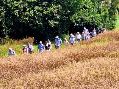 Foto des Albums: Anthropozän: Exkursion von Lauf nach Röthenbach