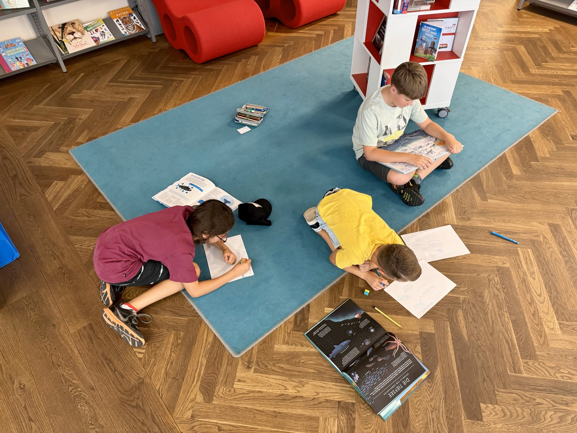 Bild der Galerie