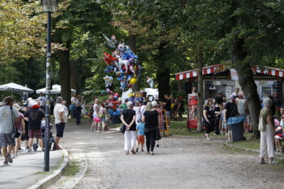 Foto des Albums: Altenburger Spielefestival