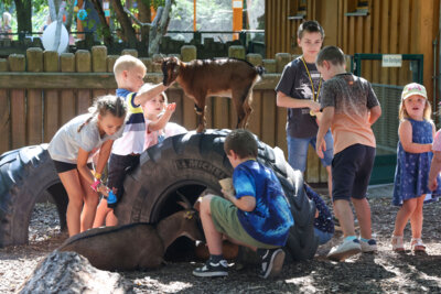 Foto des Albums: Altenburger Spielefestival