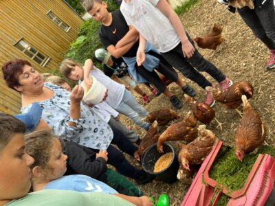 Fotoalbum Ferienprogram Röslau 2024 - Erlebnisbauernhof Reicholdsgrün